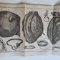 1770 CHIRURGY MEDICAL TREATISE ANATOMY antique ILLUSTRATED BOOK by L. HEISTER