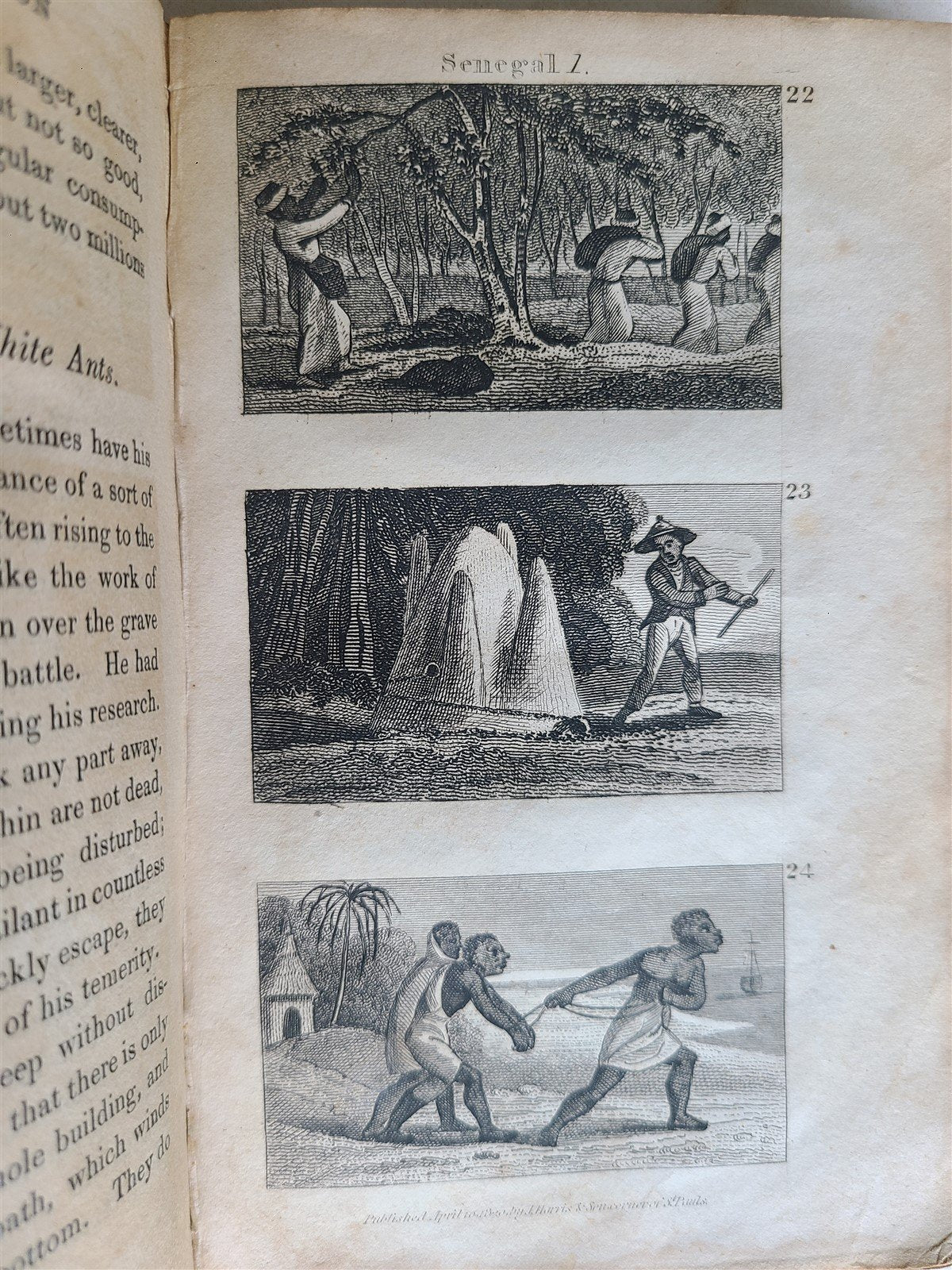 1821 SCENES in AFRICA antique illustrated CHILDRENS BOOK
