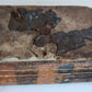 1551 HISTORIA ANIMALIUM by CONRAD GESSNER antique ILLUSTRATED 16th century FOLIO