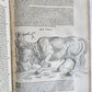 1551 HISTORIA ANIMALIUM by CONRAD GESSNER antique ILLUSTRATED 16th century FOLIO