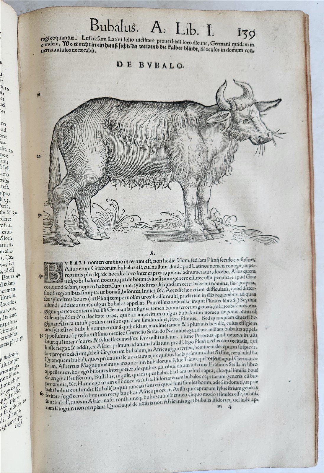 1551 HISTORIA ANIMALIUM by CONRAD GESSNER antique ILLUSTRATED 16th century FOLIO