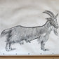 1551 HISTORIA ANIMALIUM by CONRAD GESSNER antique ILLUSTRATED 16th century FOLIO