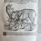 1551 HISTORIA ANIMALIUM by CONRAD GESSNER antique ILLUSTRATED 16th century FOLIO