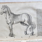1551 HISTORIA ANIMALIUM by CONRAD GESSNER antique ILLUSTRATED 16th century FOLIO