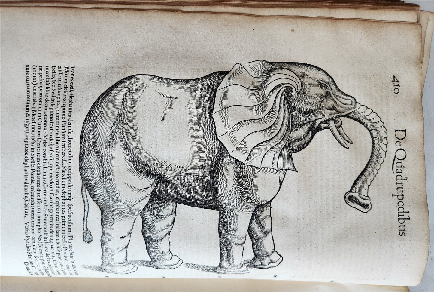 1551 HISTORIA ANIMALIUM by CONRAD GESSNER antique ILLUSTRATED 16th century FOLIO