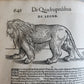 1551 HISTORIA ANIMALIUM by CONRAD GESSNER antique ILLUSTRATED 16th century FOLIO