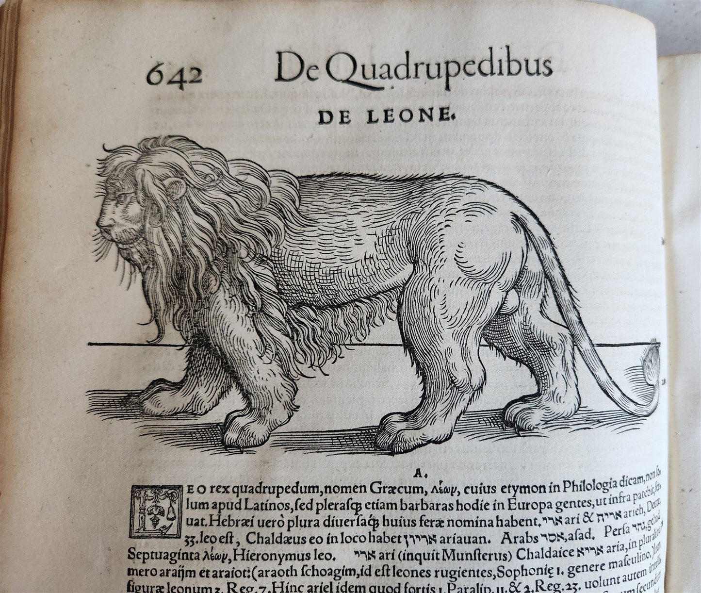 1551 HISTORIA ANIMALIUM by CONRAD GESSNER antique ILLUSTRATED 16th century FOLIO
