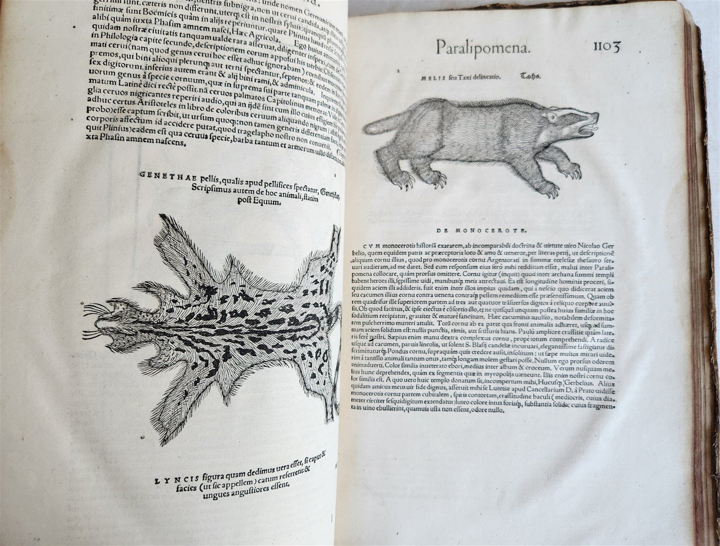 1551 HISTORIA ANIMALIUM by CONRAD GESSNER antique ILLUSTRATED 16th century FOLIO