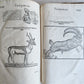 1551 HISTORIA ANIMALIUM by CONRAD GESSNER antique ILLUSTRATED 16th century FOLIO