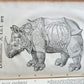 1551 HISTORIA ANIMALIUM by CONRAD GESSNER antique ILLUSTRATED 16th century FOLIO