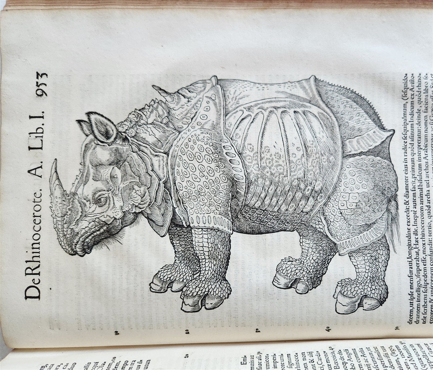1551 HISTORIA ANIMALIUM by CONRAD GESSNER antique ILLUSTRATED 16th century FOLIO