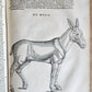 1551 HISTORIA ANIMALIUM by CONRAD GESSNER antique ILLUSTRATED 16th century FOLIO