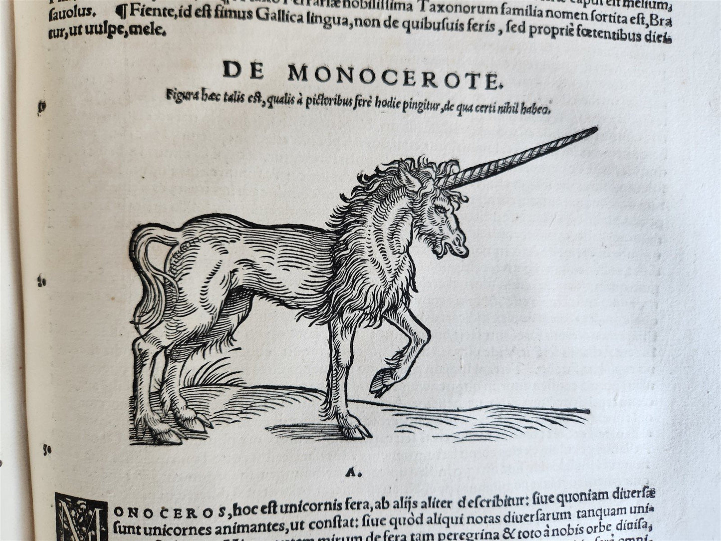 1551 HISTORIA ANIMALIUM by CONRAD GESSNER antique ILLUSTRATED 16th century FOLIO