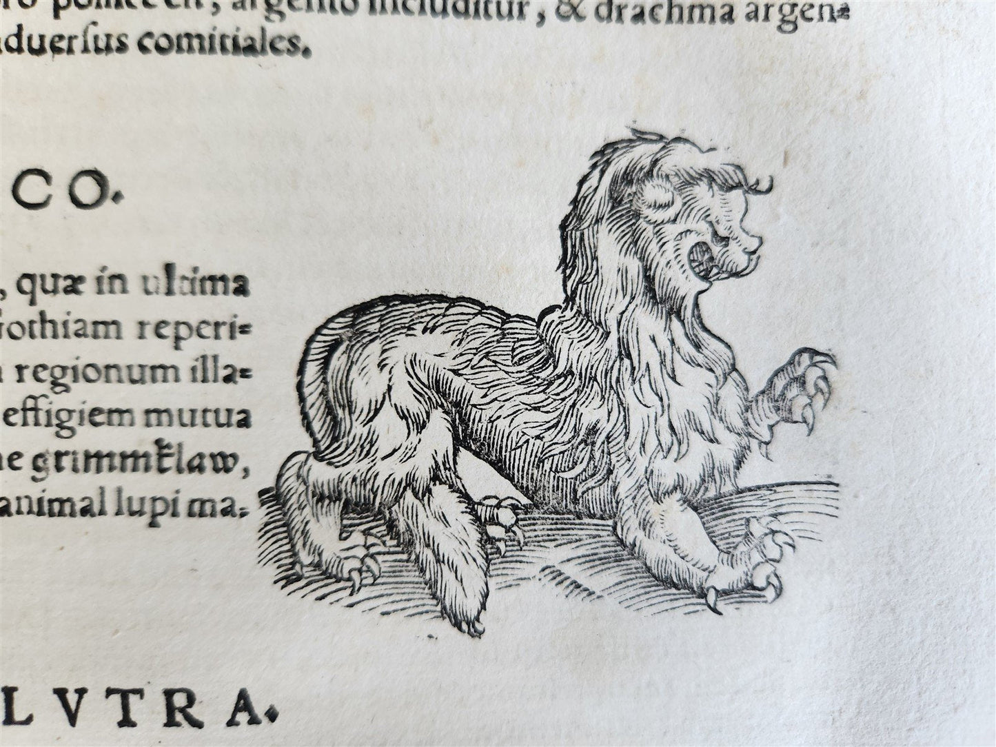 1551 HISTORIA ANIMALIUM by CONRAD GESSNER antique ILLUSTRATED 16th century FOLIO
