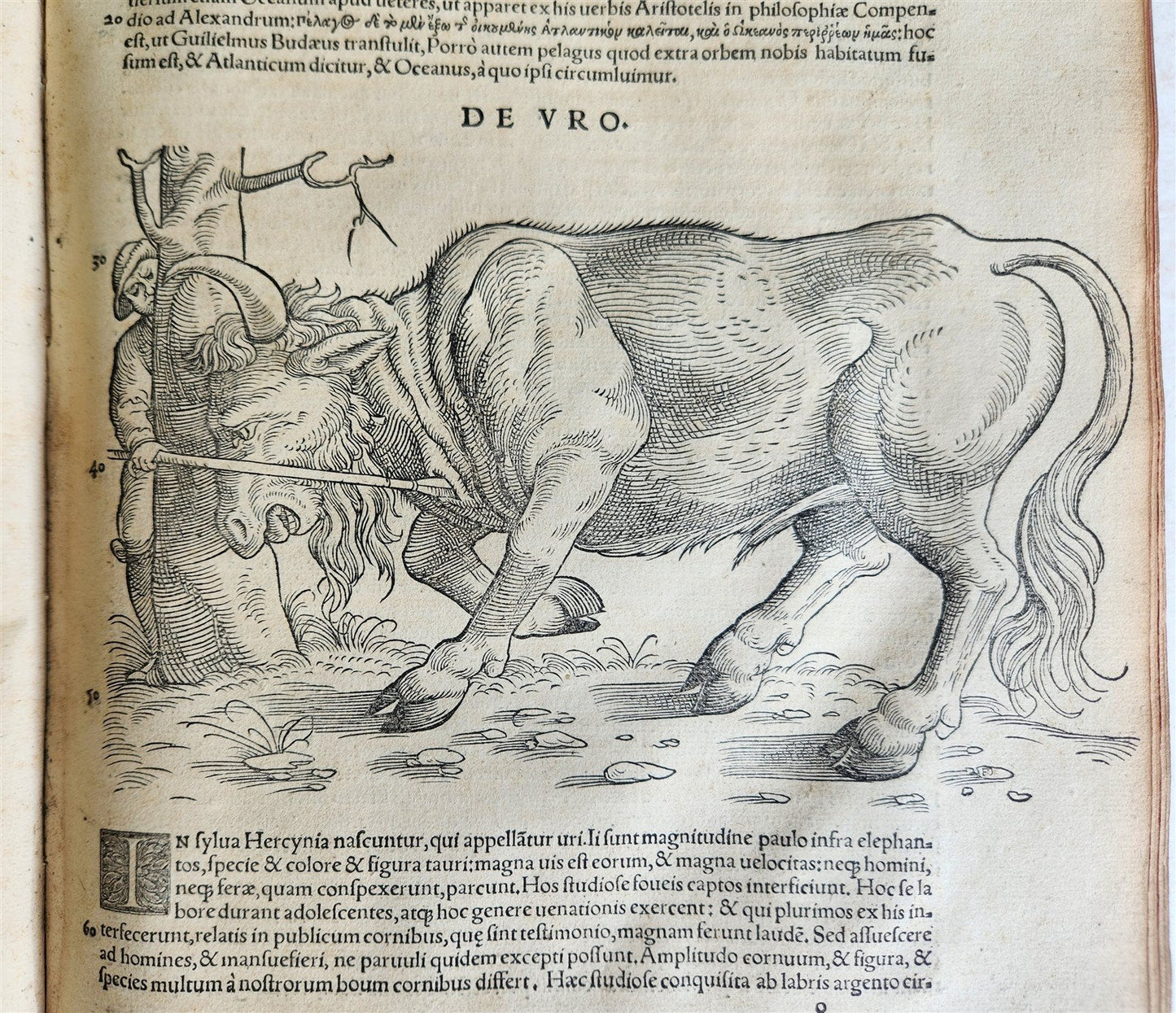 1551 HISTORIA ANIMALIUM by CONRAD GESSNER antique ILLUSTRATED 16th century FOLIO