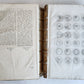 1742 NUMISMATIC ILLUSTRATED FOLIO medal collection of Queen of Sweden antique