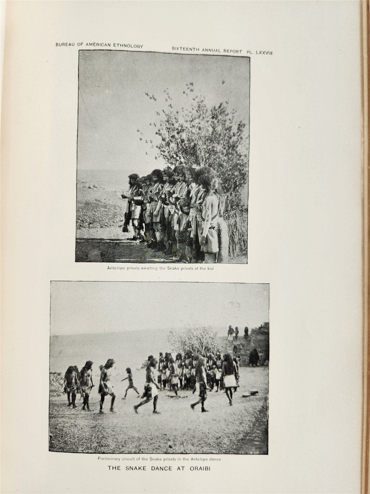 1894-95 AMERICAN ETHNOLOGY REPORT antique ILLUSTRATED