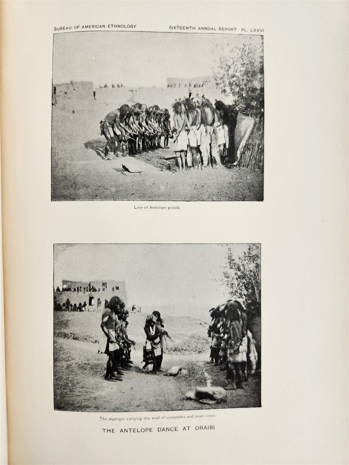 1894-95 AMERICAN ETHNOLOGY REPORT antique ILLUSTRATED