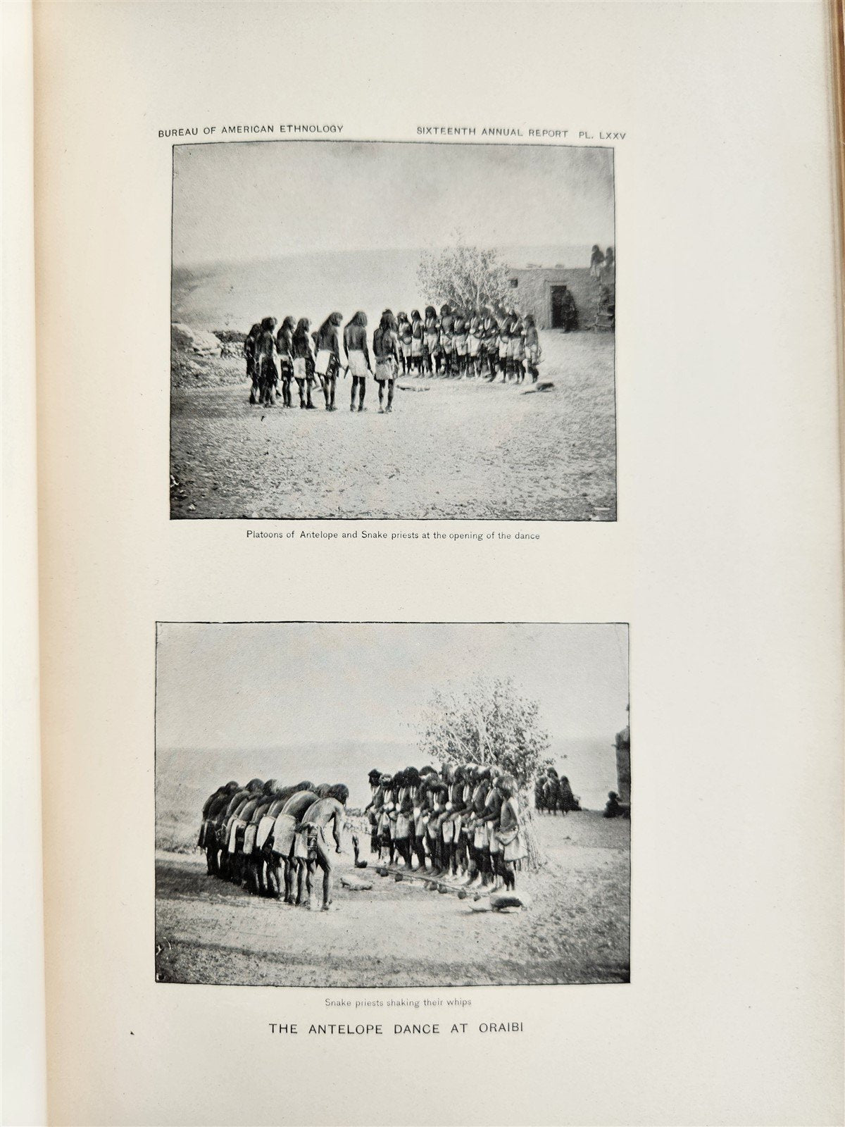 1894-95 AMERICAN ETHNOLOGY REPORT antique ILLUSTRATED
