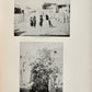 1894-95 AMERICAN ETHNOLOGY REPORT antique ILLUSTRATED