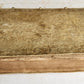 1566 AELIUS ARISTIDES ORATORIS CLARISSIMI antique VELLUM BOUND FOLIO rare