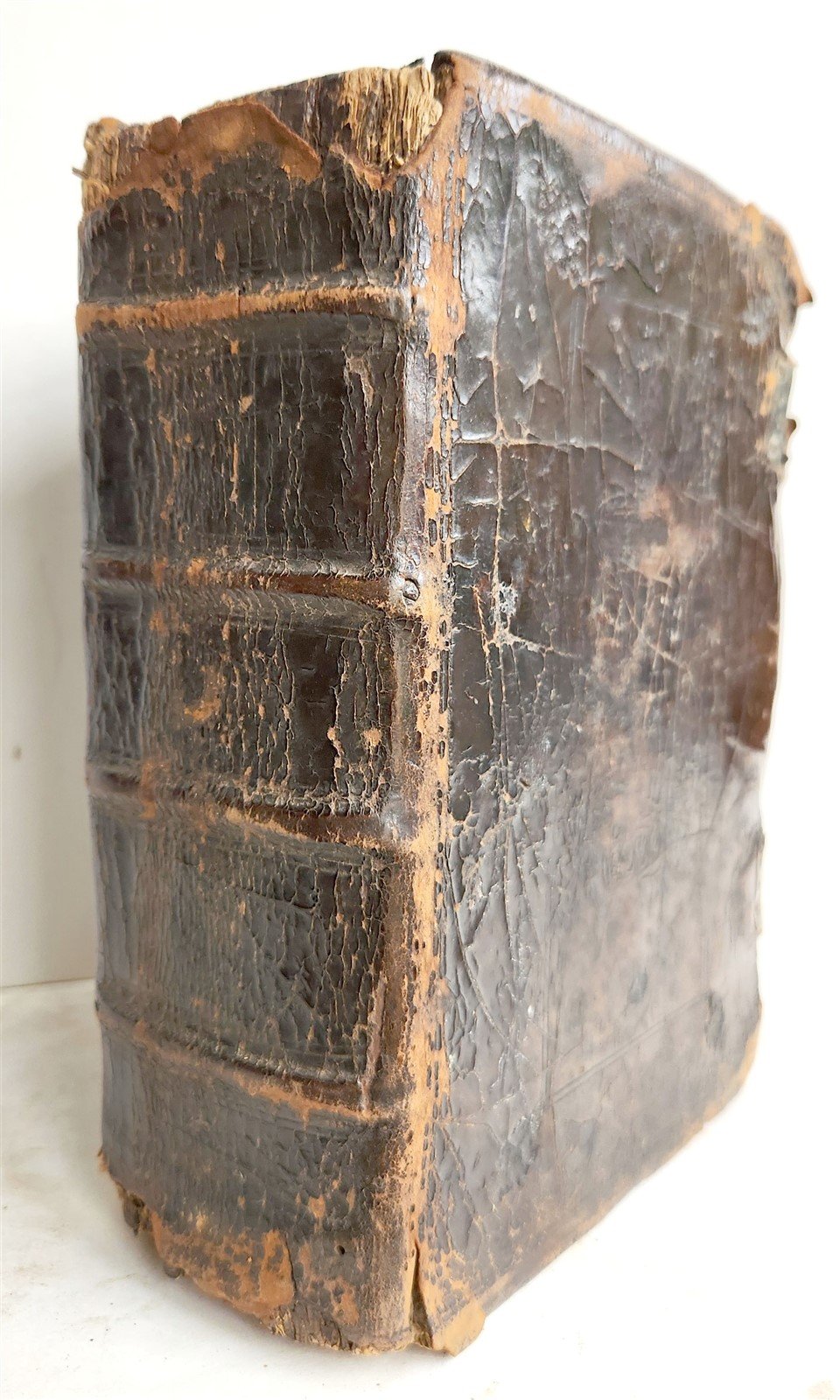 1596 BIBLE in ENGLISH GENEVA BREECHES VERSION antique ORIGINAL BINDING scarce