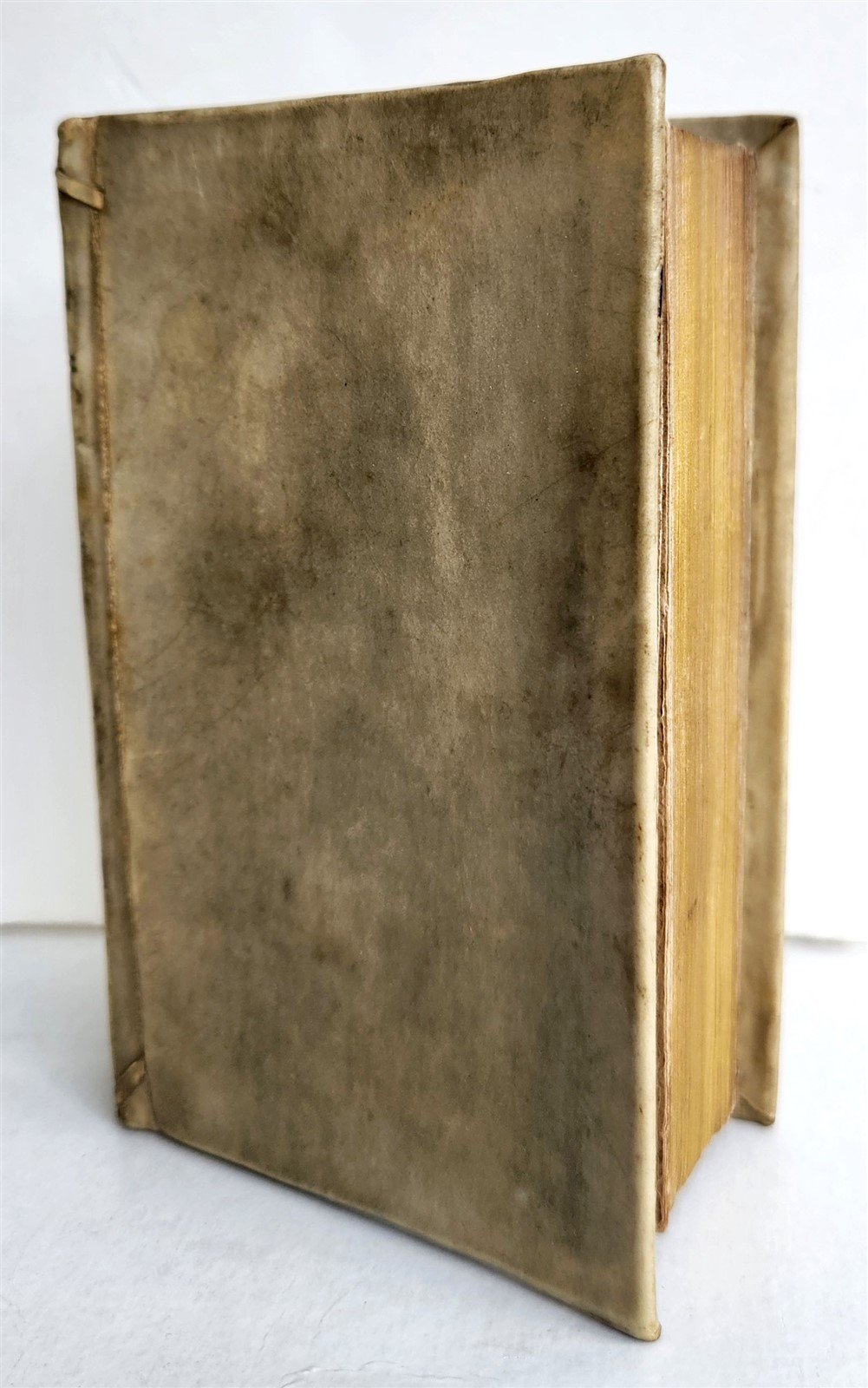 1561 AESOP FABLES antique FULLY ILLUSTRATED vellum binding 16th CENTURY rare