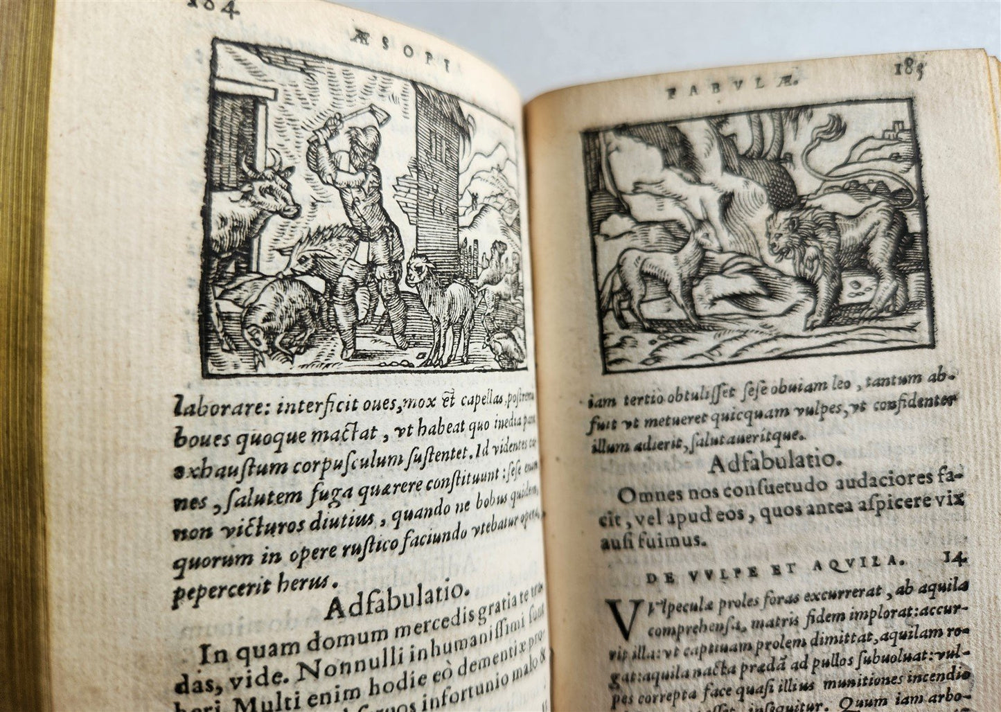 1561 AESOP FABLES antique FULLY ILLUSTRATED vellum binding 16th CENTURY rare