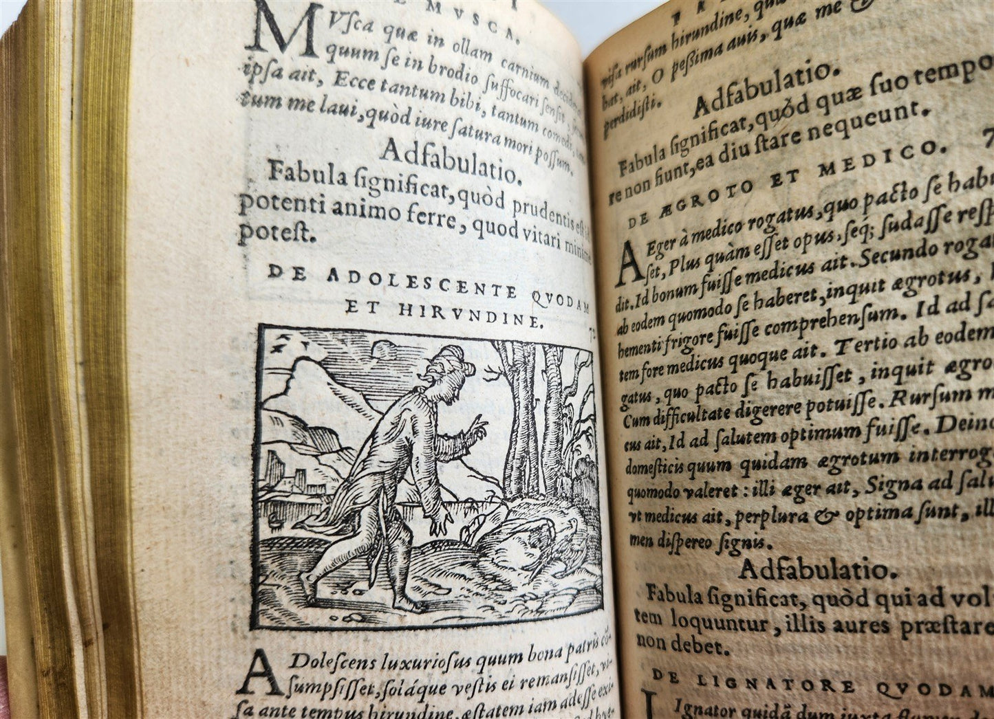 1561 AESOP FABLES antique FULLY ILLUSTRATED vellum binding 16th CENTURY rare