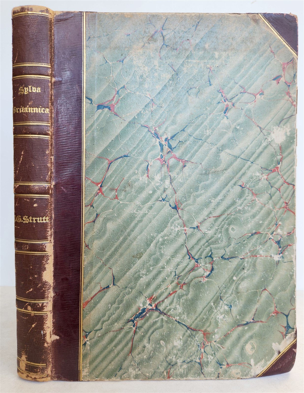 1831 SYLVA BRITANNICA or Portraits of Forest Trees antique ILLUSTRATED