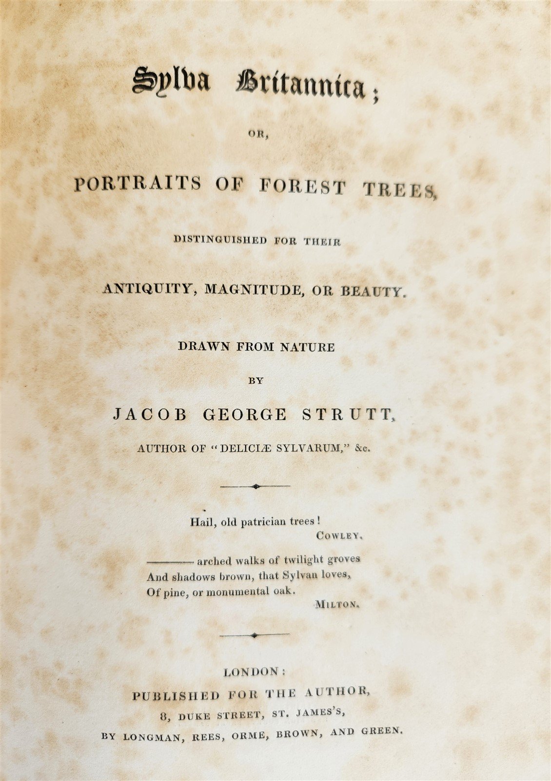 1831 SYLVA BRITANNICA or Portraits of Forest Trees antique ILLUSTRATED