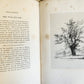 1831 SYLVA BRITANNICA or Portraits of Forest Trees antique ILLUSTRATED