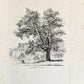 1831 SYLVA BRITANNICA or Portraits of Forest Trees antique ILLUSTRATED