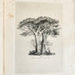 1831 SYLVA BRITANNICA or Portraits of Forest Trees antique ILLUSTRATED