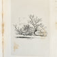 1831 SYLVA BRITANNICA or Portraits of Forest Trees antique ILLUSTRATED