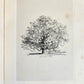 1831 SYLVA BRITANNICA or Portraits of Forest Trees antique ILLUSTRATED