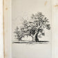 1831 SYLVA BRITANNICA or Portraits of Forest Trees antique ILLUSTRATED