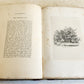 1831 SYLVA BRITANNICA or Portraits of Forest Trees antique ILLUSTRATED