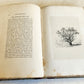 1831 SYLVA BRITANNICA or Portraits of Forest Trees antique ILLUSTRATED