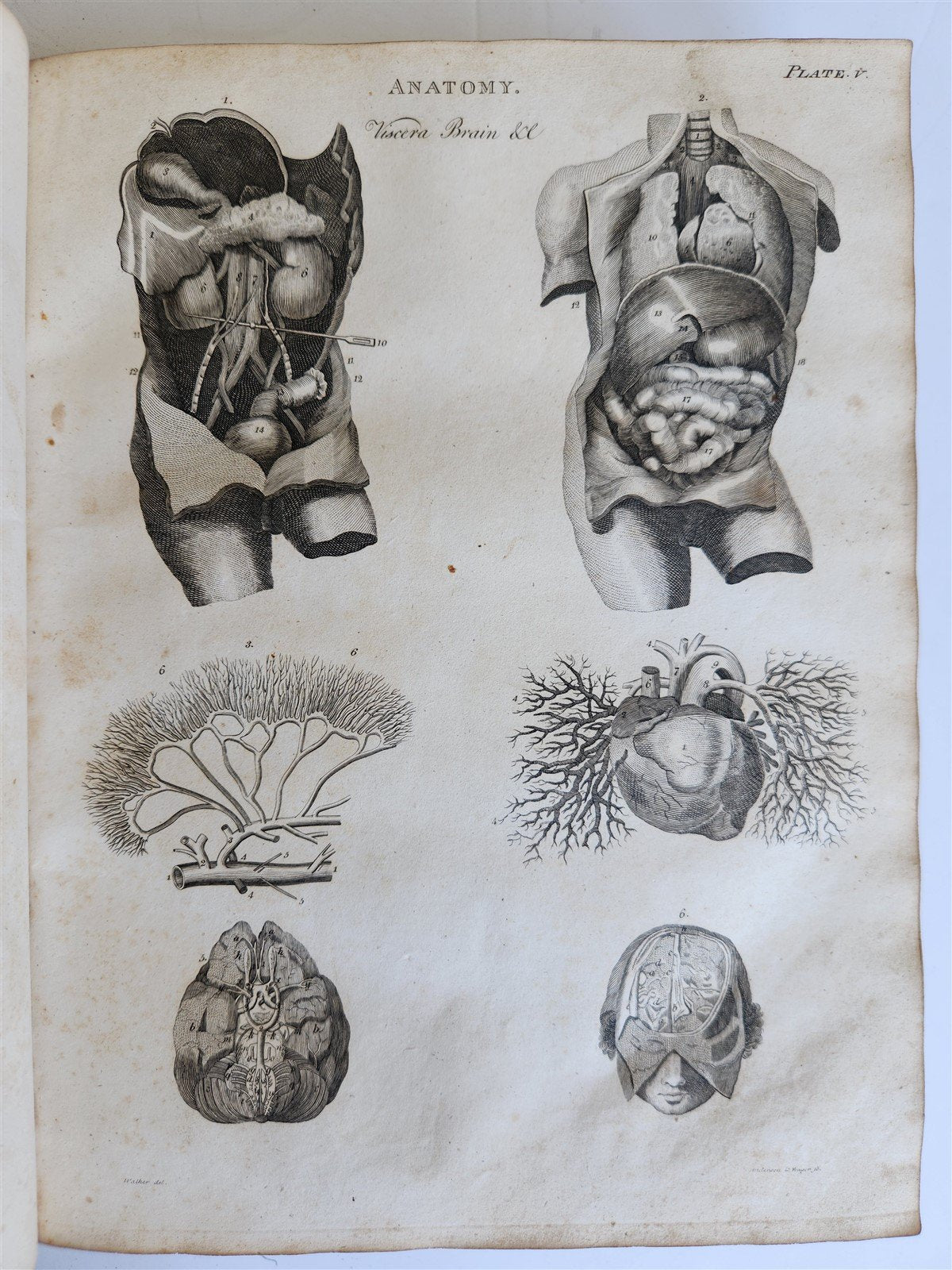 1822 NEW and COMPLETE DICTIONARY of ARTS and SCIENCES 3 VOLS. antique by GREGORY