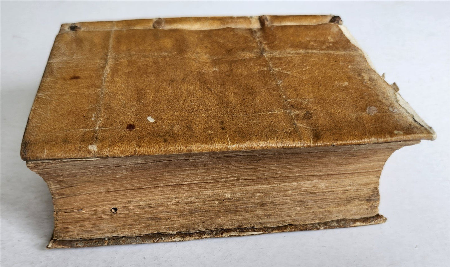 1551 Jean TIXIER antique VELLUM BOUND Officinae Ioannis Rauisii Textoris