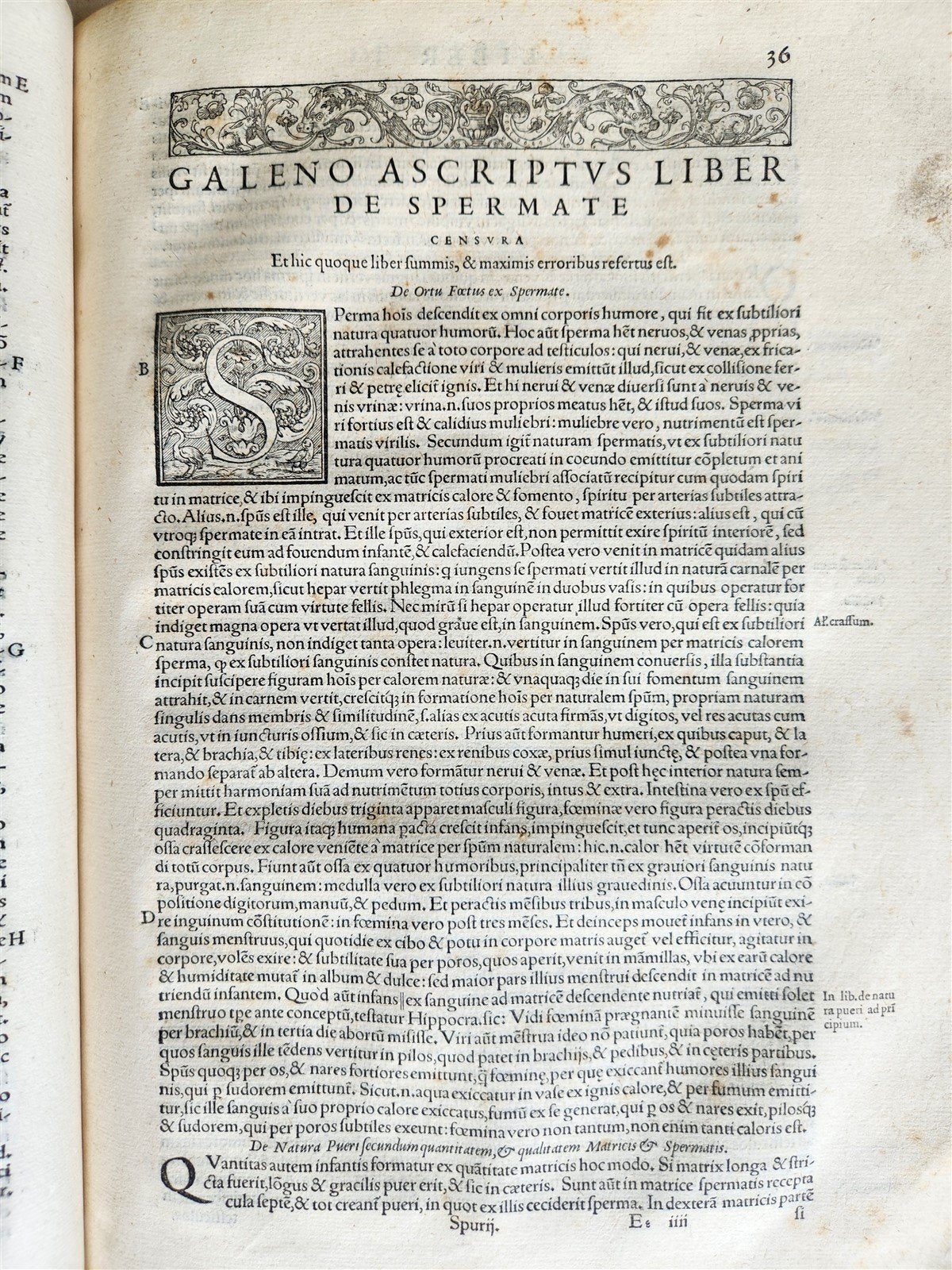 1565 RENAISSANCE EDITION OF GALEN antique FOLIO 16th century FAMOUS MEDICAL WORK