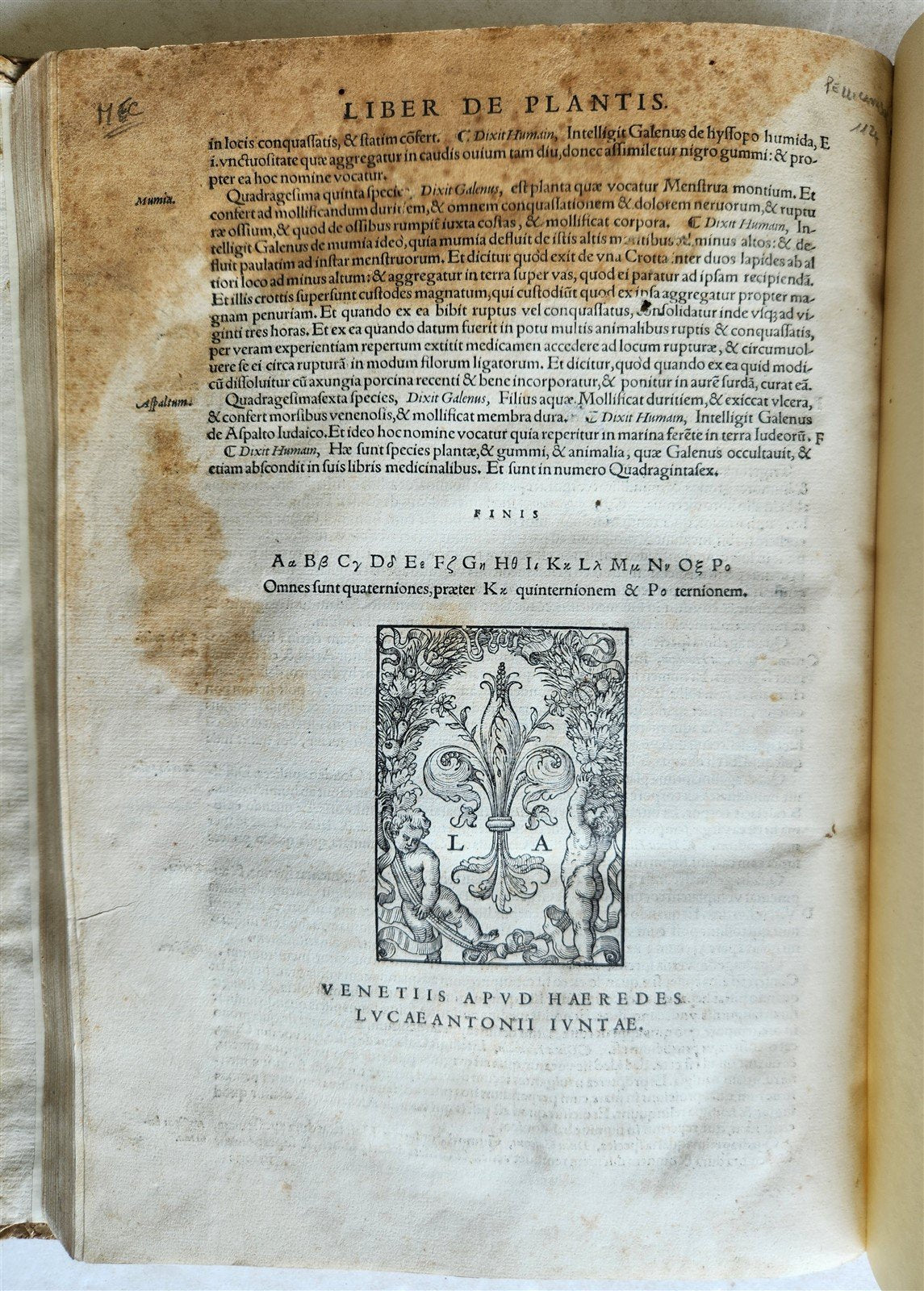 1565 RENAISSANCE EDITION OF GALEN antique FOLIO 16th century FAMOUS MEDICAL WORK