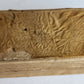 1691 POETRY antique VELLUM BINDING DESCRIPTIONES POETICAE