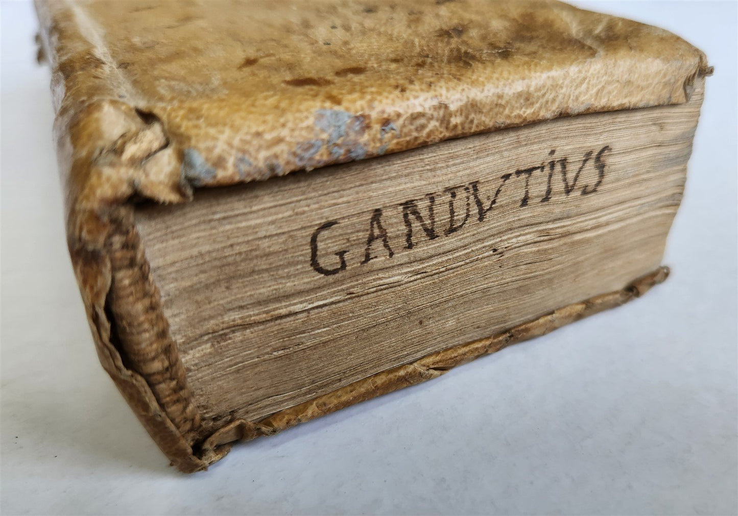 1691 POETRY antique VELLUM BINDING DESCRIPTIONES POETICAE