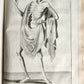 1699 CHRONICLE of COUNTS of HOLLAND antique 17 c. ILLUSTRATED FOLIO vellum bound