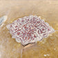 1841 ARABIC & FARSI MANUSCRIPT TREATISE on ISLAMIC LAW & LOGIC antique