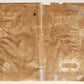 1630s MAP of MECKLENBURG GERMANY antique