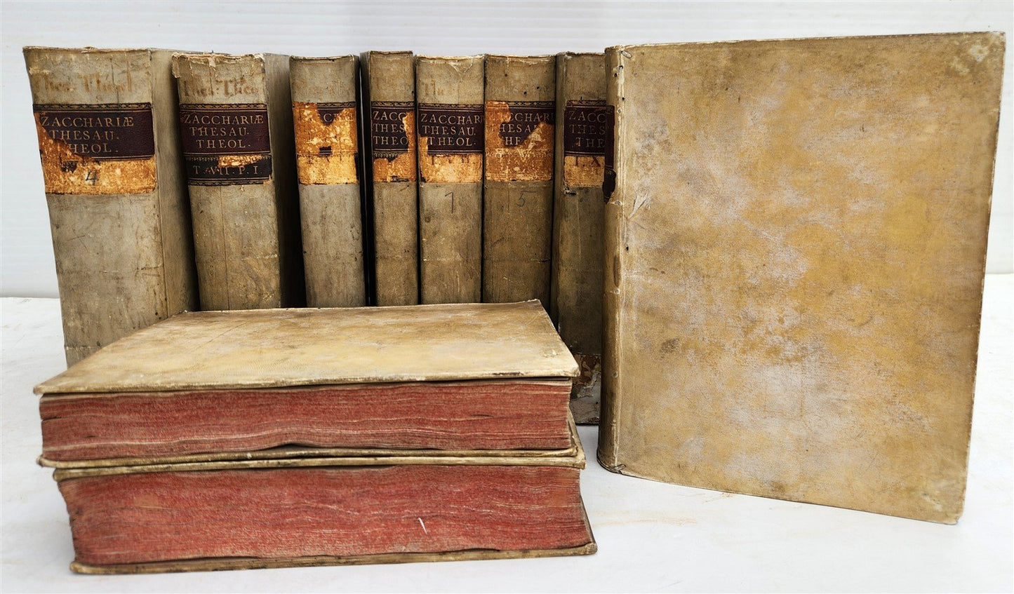 1762 THEOLOGICAL DICTIONARY 13 VELLUM BOUND VOLS antique THESAURUS THEOLOGICUS