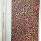 1559 Apostoli describentis episcoporum antique 16th CENTURY